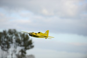 Kees DMC 25-10-14 10