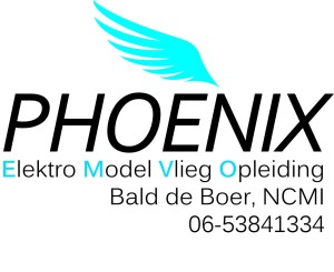 logo phoenix 2 (2)